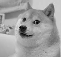 What Doge Taught Me About the Internet | The New Yorker