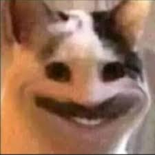 1728910298131.png
