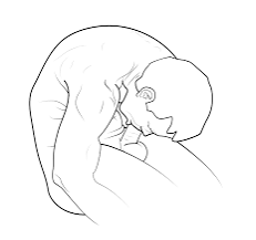1729308696937.png