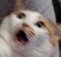 1730201913799.png