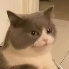 1731070206243.png