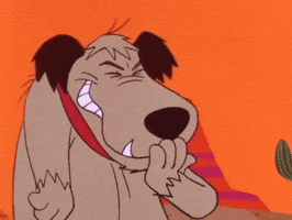 1731655935293.gif