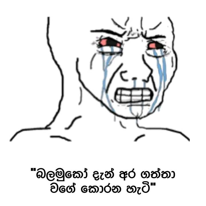 1731672295931.png