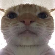 1731914750512.png