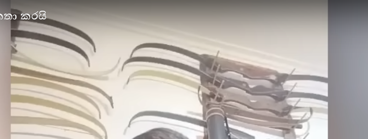 1732505018767.png