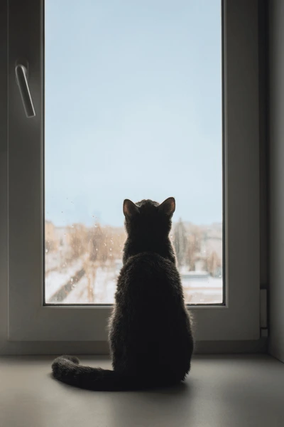 1732707783454.png