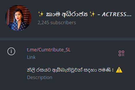 1732807040062.png