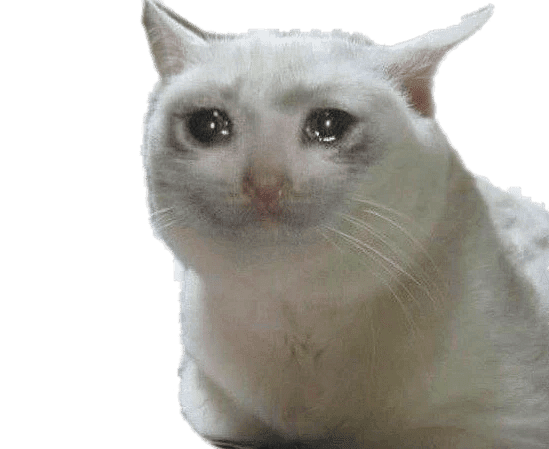 1732892754608.png