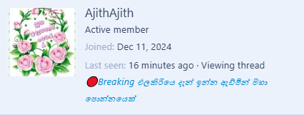 1734507024038.png