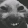 1734676192438.png