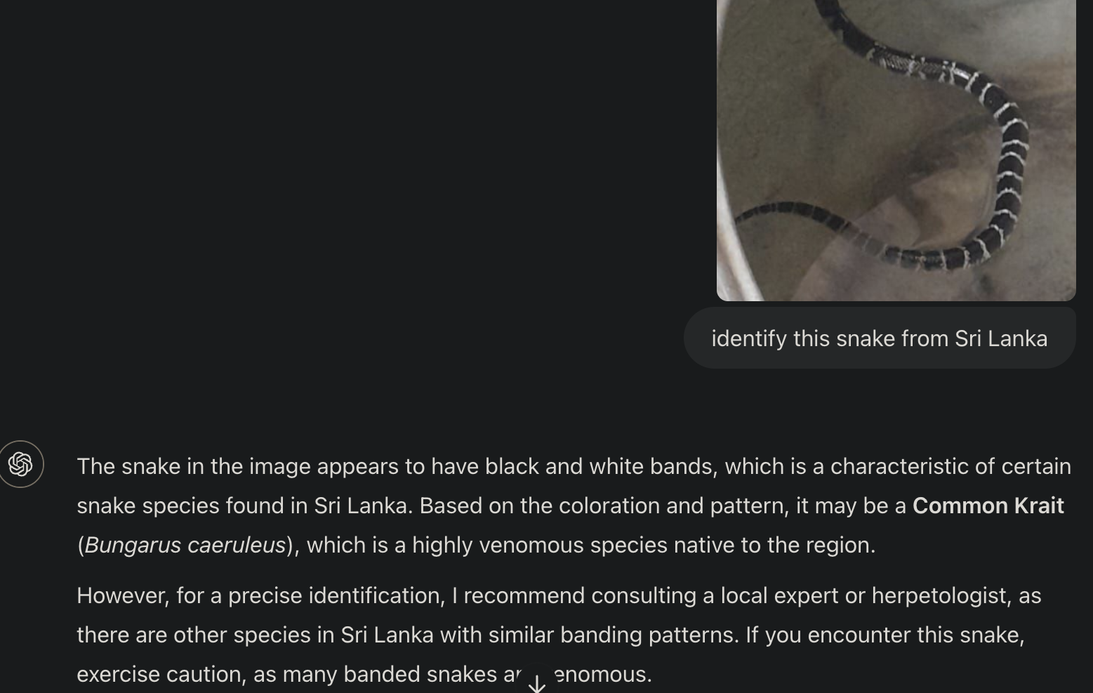 1734679816487.png