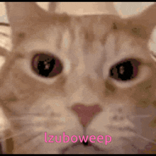 1735483381327.gif