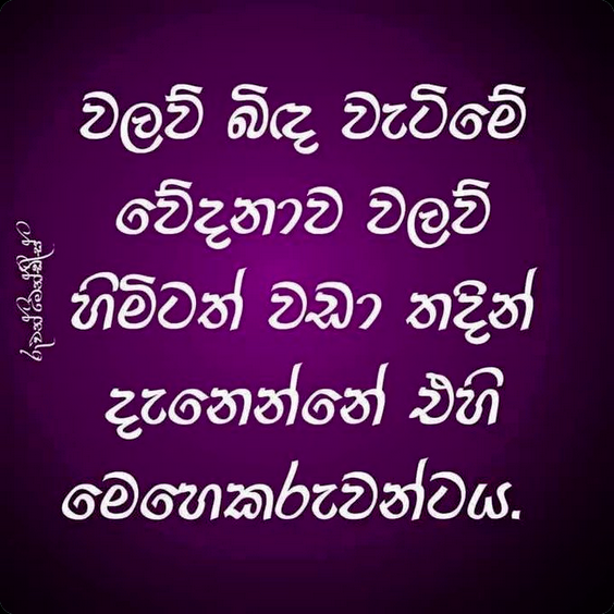 1735787886675.png