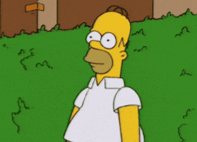 1741881580492.gif