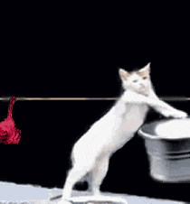 1743910668805.gif