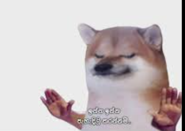 1744647069096.png