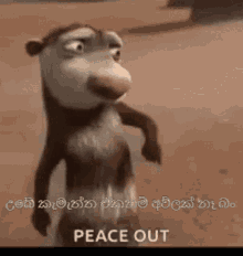 1746476270286.gif