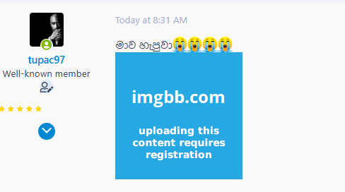 1747196616774.png