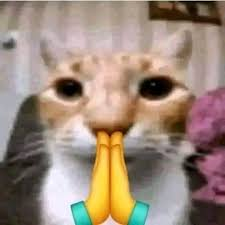 1748491676170.png