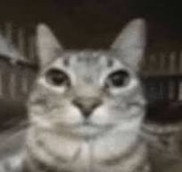 1750606360303.png