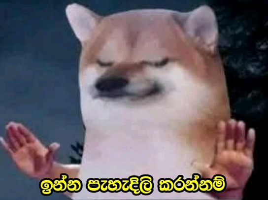 1750831218808.png
