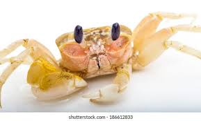 1753035939734.jpeg