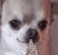 1755966556679.png