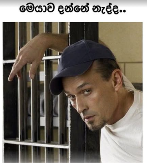 1756091482146.png