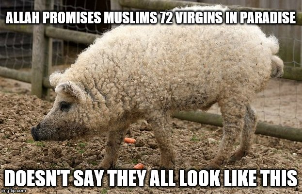 1757583225981.png