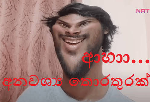 1757684071635.jpeg
