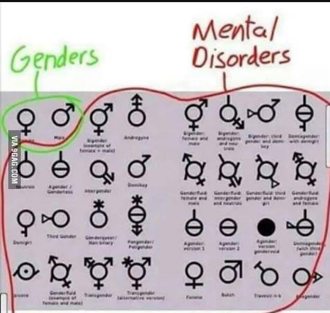 1759304659406.png