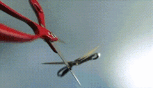 1763512660716.gif