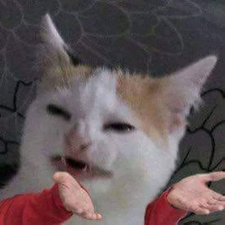 1764263956554.png