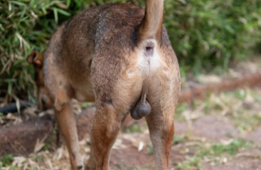 1767865655166.png