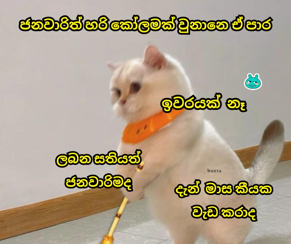 1769657744474.png