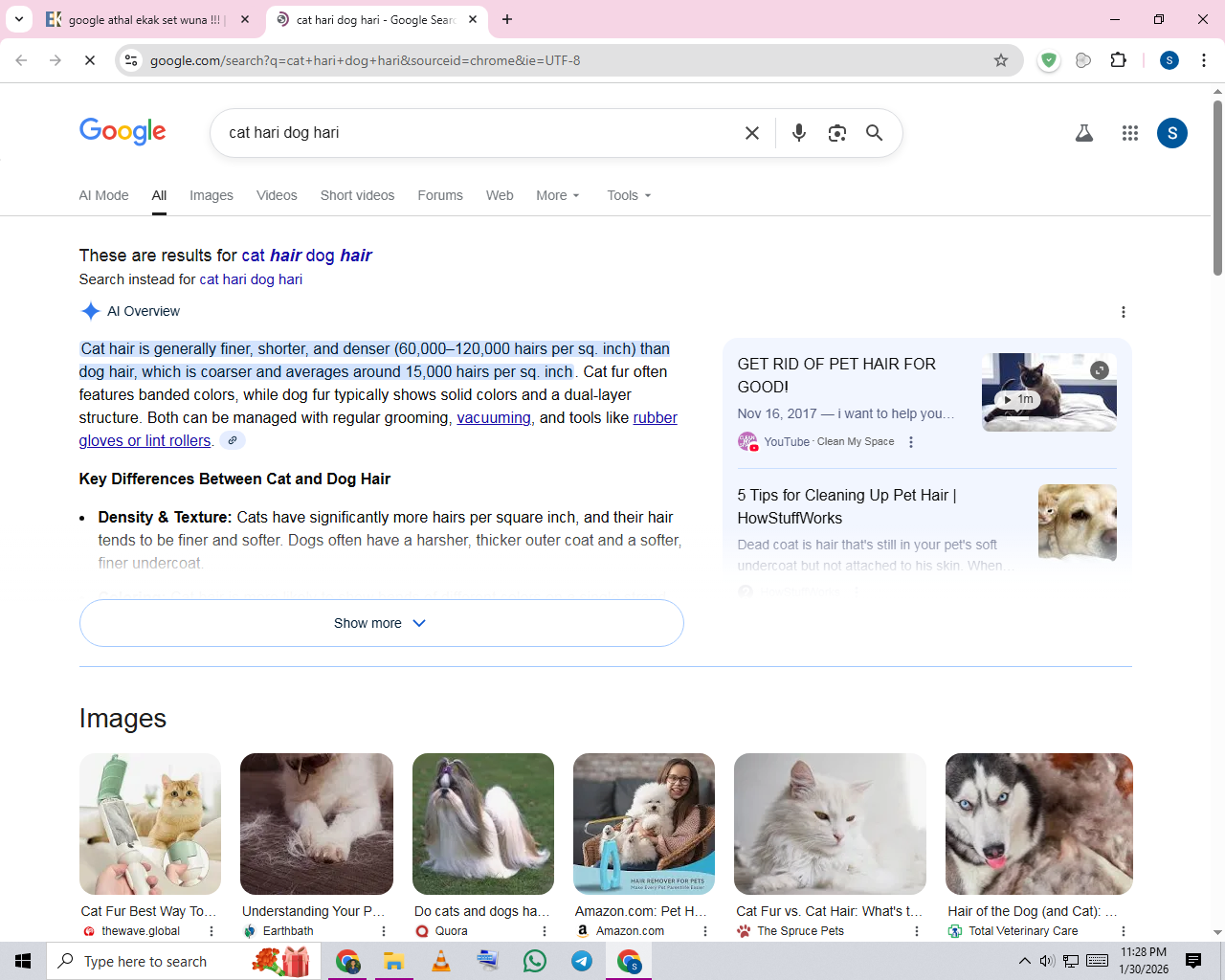 1769795934340.png