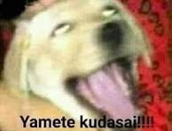 1772861766857.png