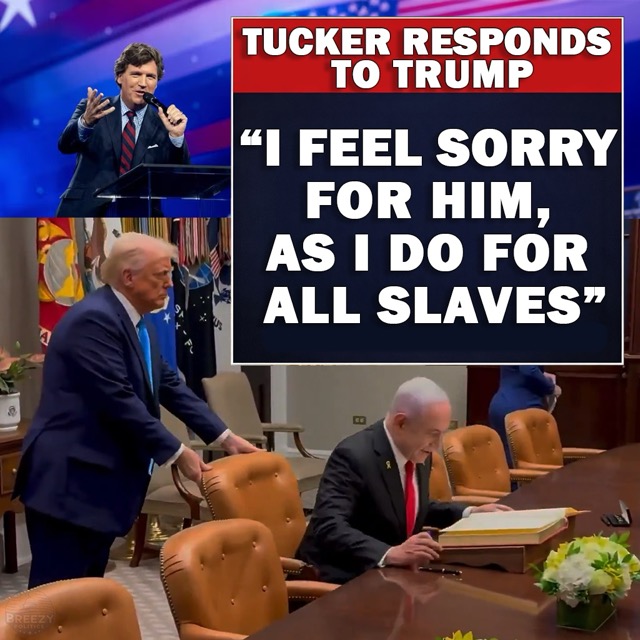 1775957551487.jpeg