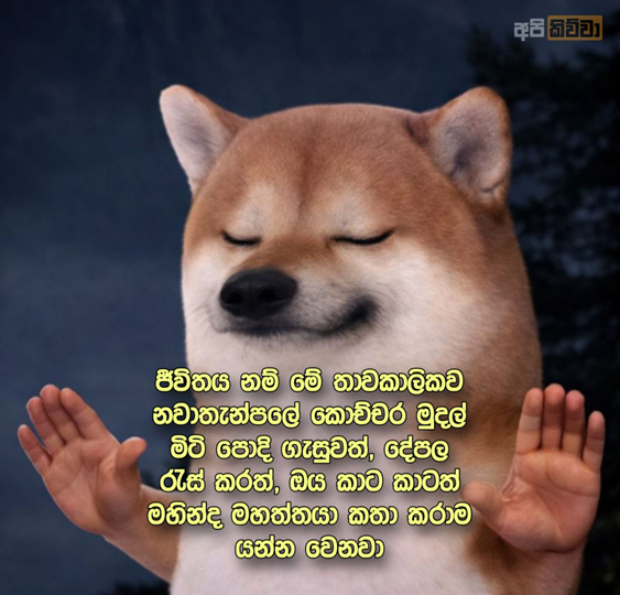 1778293551866.png