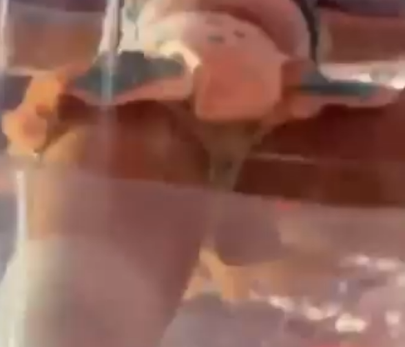 1785343747895.png