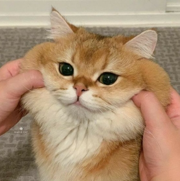 1787141359797.png