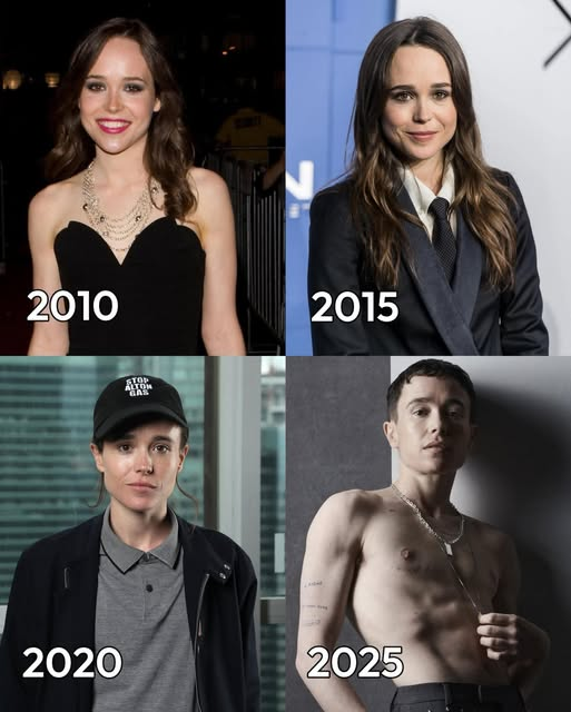 1787464960627.png