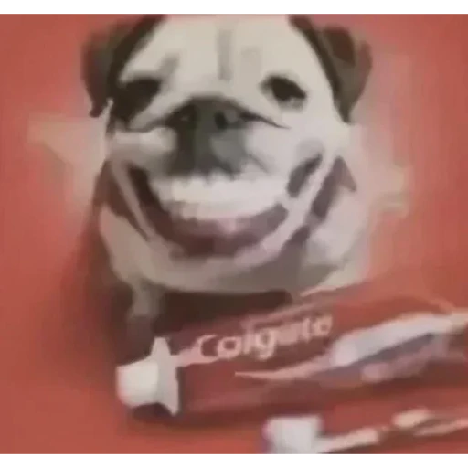 1787828576019.png