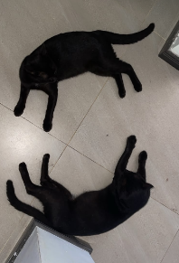 1789219240147.png