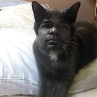 1791617160421.jpeg
