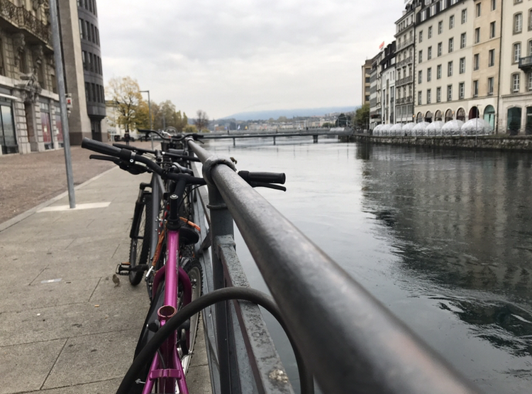 19067312-AA10-40F7-9A99-23FBC97ECC1D.jpeg