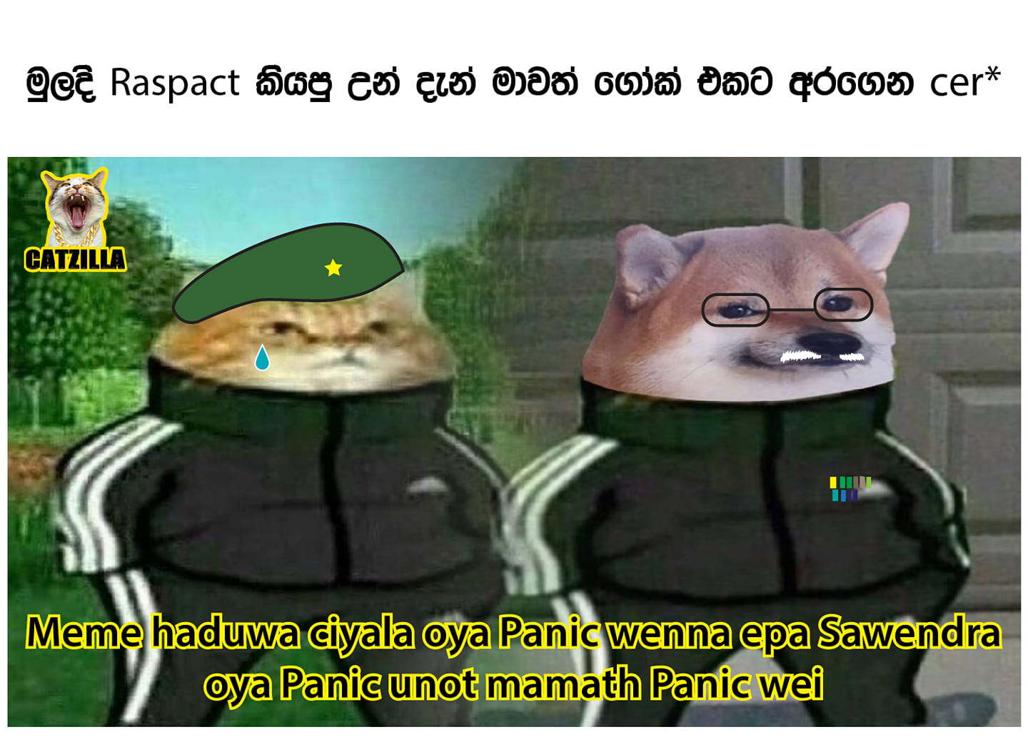194137089_359426895599770_1672751531984671844_n.jpg