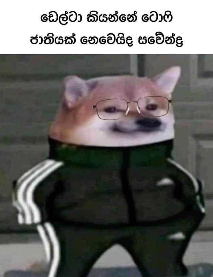 195518764_336996767993755_392211876479537690_n.jpg