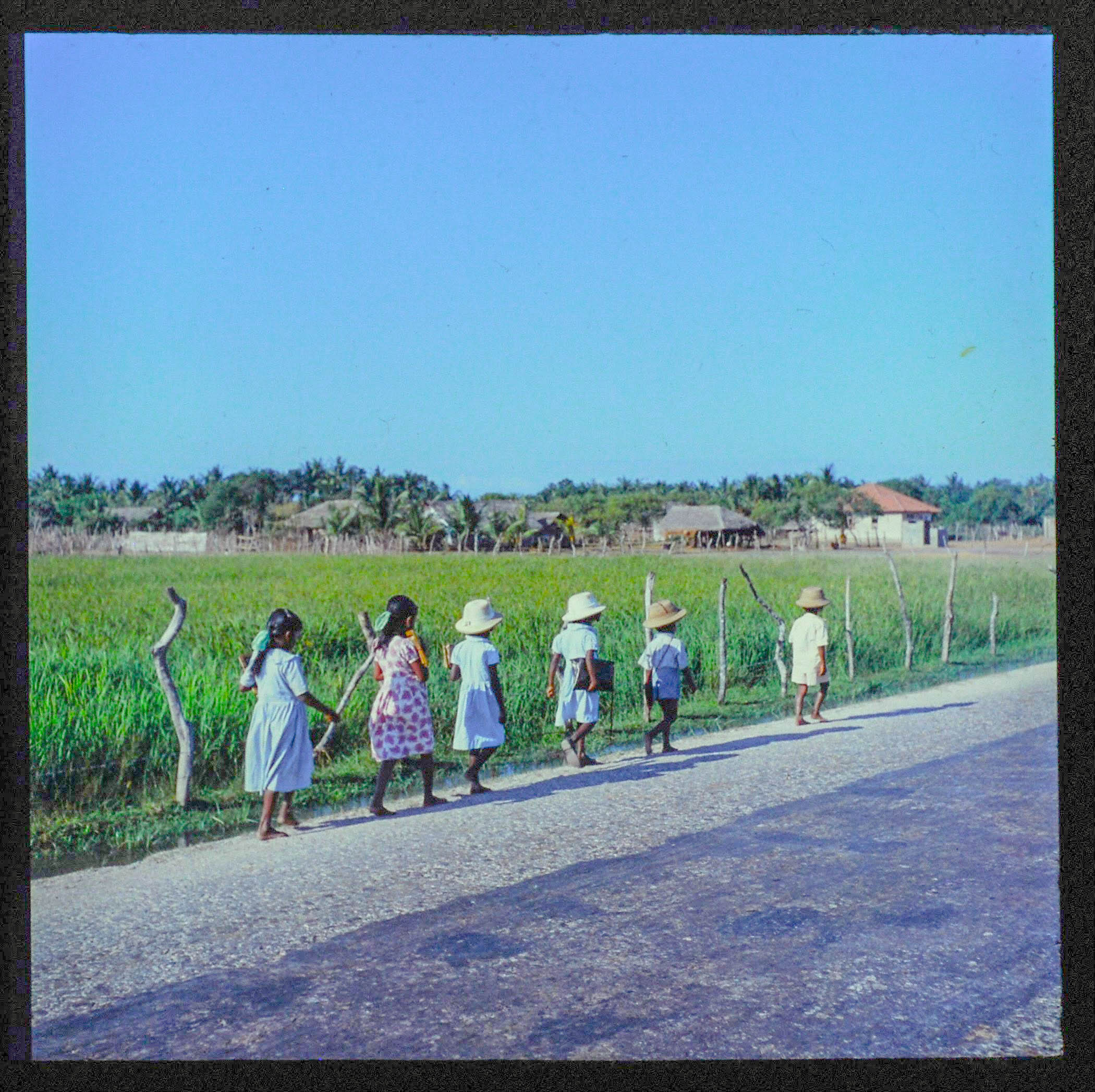 1958 school.jpg