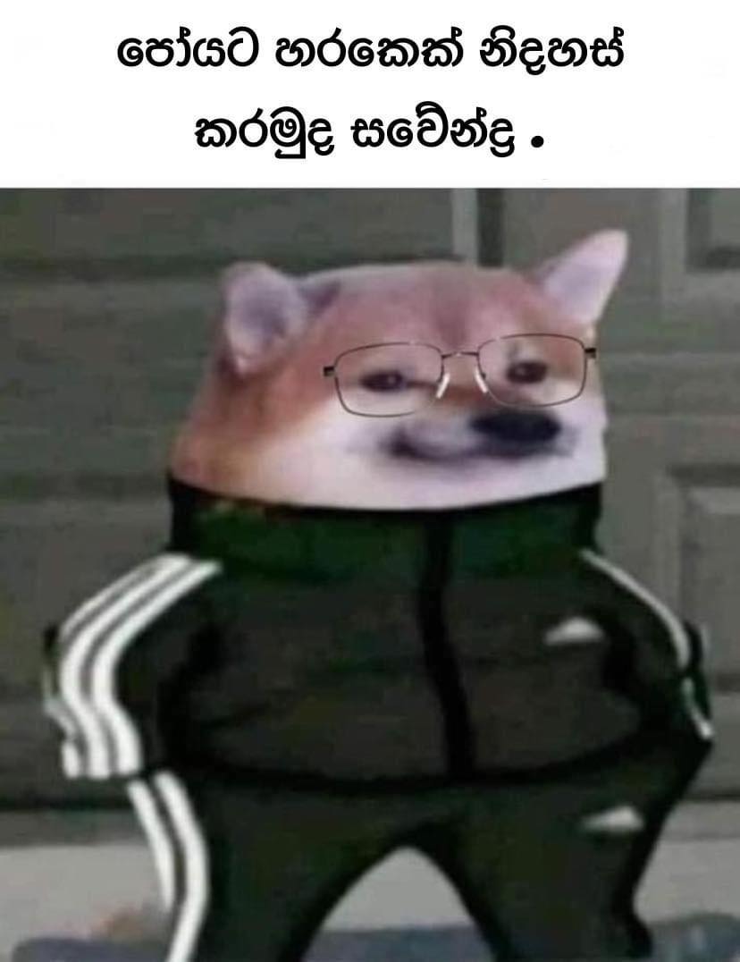 198674607_159215576258677_3557434278412978867_n.jpg